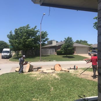 Two Brothers Tree Service - After - Tree Services Near Me