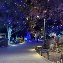 Zoo lights walkway