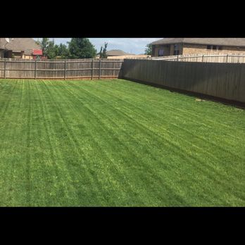 Lawns By Led - a green lawn and fence - Tree Services Near Me Lawns By Led - a green lawn and fence - Tree Services Near Me