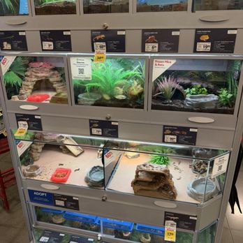 PetSmart - Reptiles - Pet Training Near Me - Roswell, Georgia