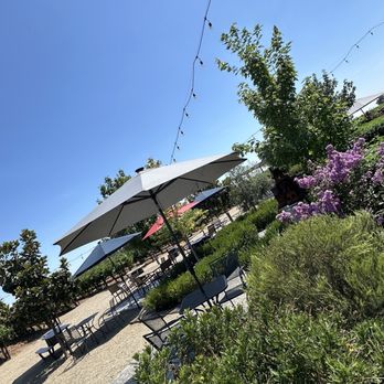 Block 21 Winery - Wineries Near Me - Lodi, California