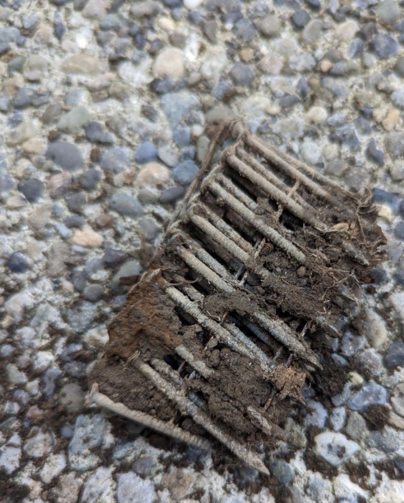 Slide of Buddin Services