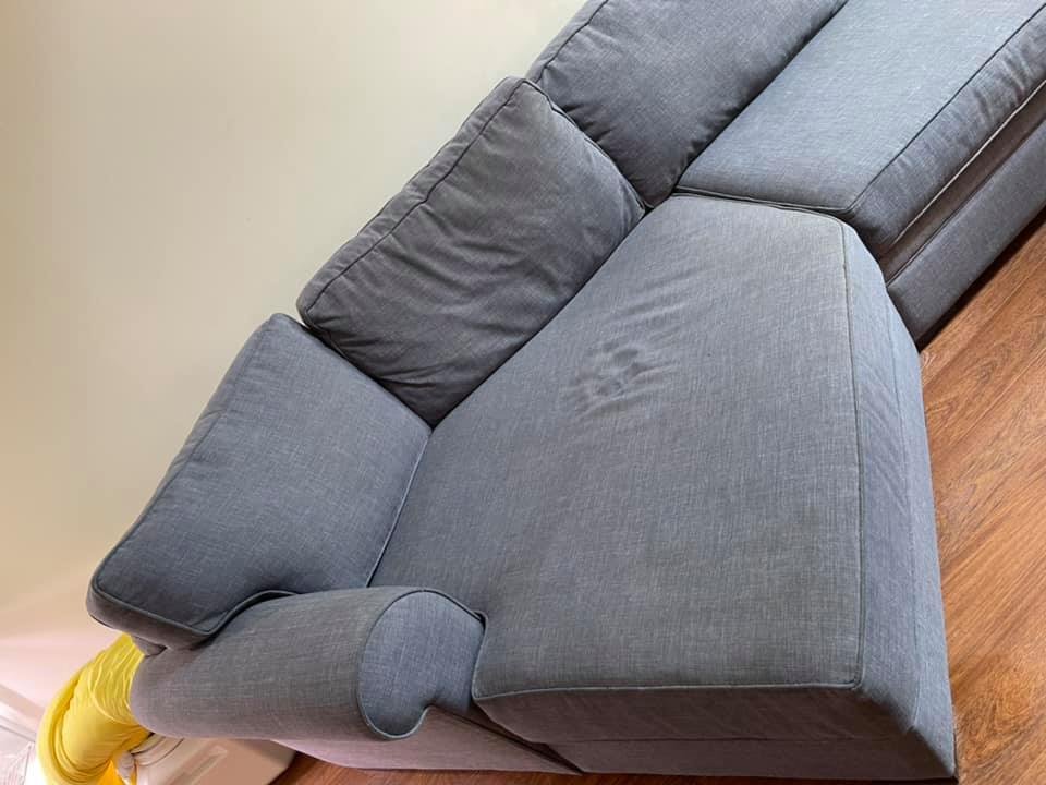 STEAM MASTER CLEANING SERVICES Updated June 2024 13 Photos