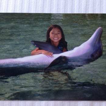 Dolphin Quest - She had an amazing time with the Kids Quest!! - Tours Near Me - Waikoloa, Hawaii