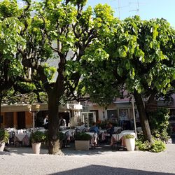 San Lorenzo