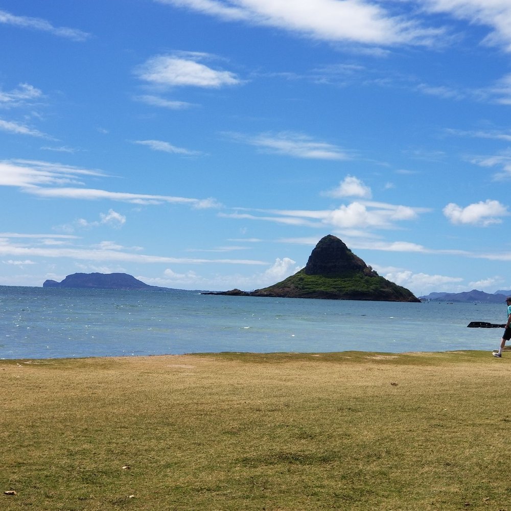 Go Tours Hawaii - Hawaii - Bus Tours Near Me - Honolulu, Hawaii