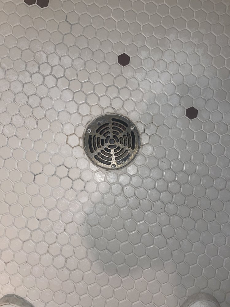 Slide of Cline & Maib