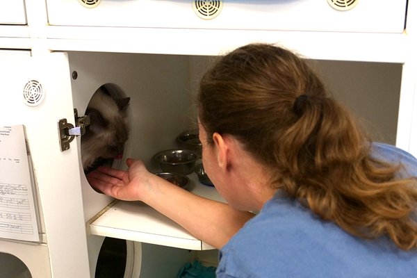 Now Boarding by null