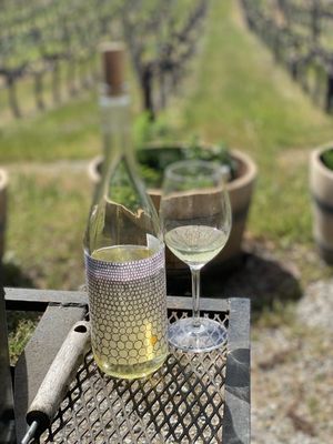 Tag + Jug Cider Co. and Taphouse by null