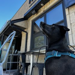 Dog friendly patio