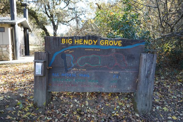 Hendy Woods State Park by null
