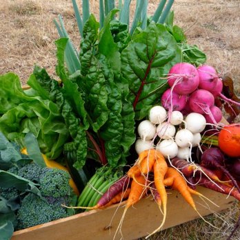 Glenrosa Farm Restaurant - The bounty of our garden in late summer. - Pizza Near Me - Victoria, British Columbia Glenrosa Farm Restaurant - The bounty of our garden in late summer. - Pizza Near Me - Victoria, British Columbia