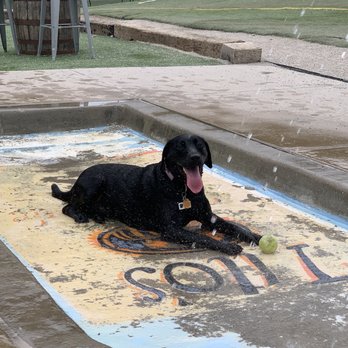 Bar K - Enjoying the pup Tito's splash area! - Dog Parks Near Me - Kansas City, Missouri