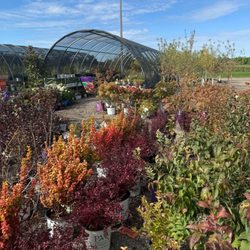 Wendland Landscape Services