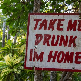 Coconuts Bar & Grill - Bars Near Me - Cozumel, ROO