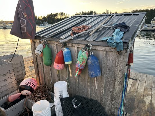 McLoons Lobster Shack by null