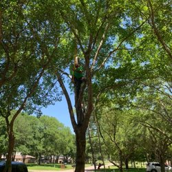 Arturo García Tree and Lawn Service