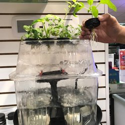 Green Zone Grow Shops - Cloning Machine, want your Root ?