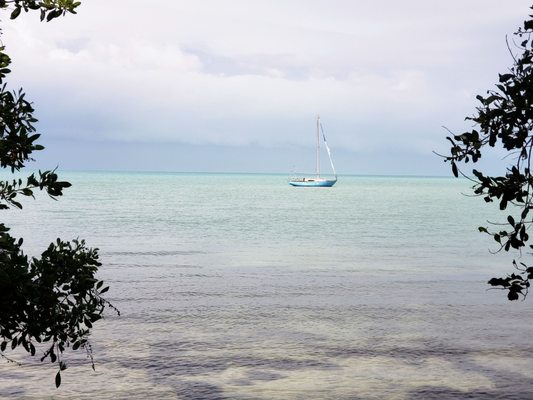 Seven Mile Bridge by null