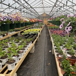 Rehoboth Nurseries - Hanging annual baskets perennials and herbs