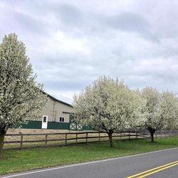 Sunrise Ranch
