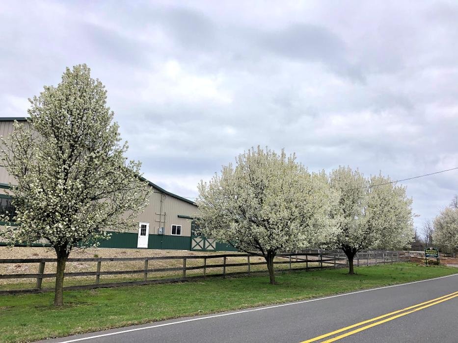 SUNRISE RANCH Updated September 2024 29 Photos & 13 Reviews 430