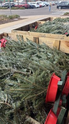 Whole Foods Market by null