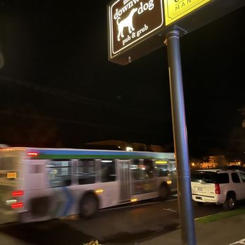 Downward Dog - Took the midnight buss going anywhere and ended up at downward #fate - Diners Near Me - Corvallis, Oregon