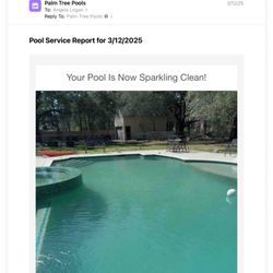 Palm Tree Pools - March 2025