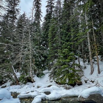Franklin Falls Trailhead - Hiking Near Me - North Bend, Washington
