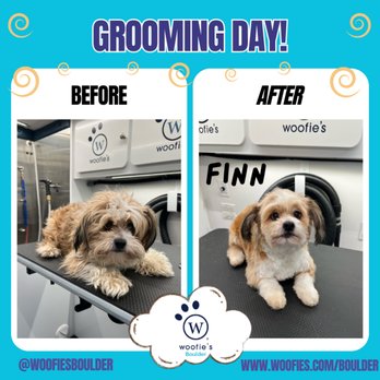Woofie's of Boulder - Kevin's Groom Day! - Pet Groomers Near Me Woofie's of Boulder - Kevin's Groom Day! - Pet Groomers Near Me