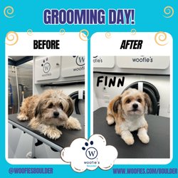 Woofie's of Boulder - Kevin's Groom Day!