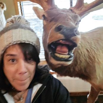 AmericInn by Wyndham Cody - Taxidermy - Hotels Near Me - Cody, Wyoming