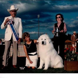 Animal House Pet Care and Salon - Top Winning Great Pyrenees "Bristol"
