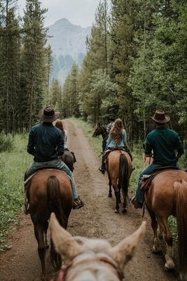 Boundary Ranch by null