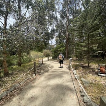 Monarch Grove Sanctuary - Path - Parks Near Me - Pacific Grove, California Monarch Grove Sanctuary - Path - Parks Near Me - Pacific Grove, California