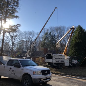 Affordable Tree Service - Tree Services Near Me - Tuscumbia, Alabama Affordable Tree Service - Tree Services Near Me - Tuscumbia, Alabama