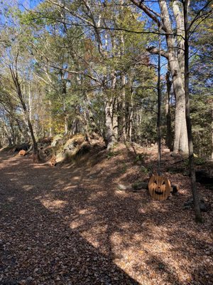 Catskill Mountain Railroad by null