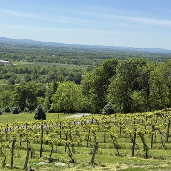 Bluemont Vineyard - Venues & Event Spaces Near Me - Bluemont, Virginia