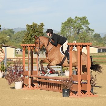 Seascape Sport Horses - Show at Paso Robles Horse Park - Horseback Riding Near Me - Gilroy, California Seascape Sport Horses - Show at Paso Robles Horse Park - Horseback Riding Near Me - Gilroy, California