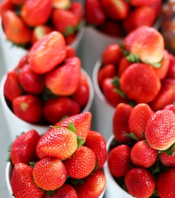 Canino Produce by null