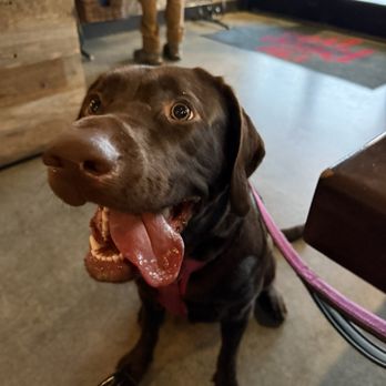 The Redd Dog - Mable waiting for more of her delicious cookie& - Bars Near Me - Tacoma, Washington
