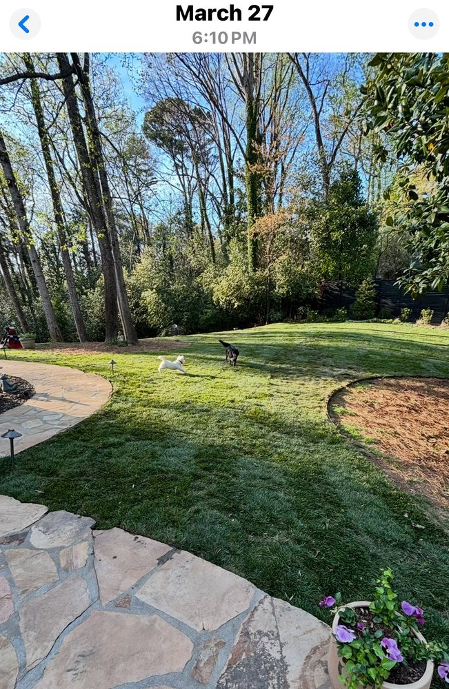 Arbor-Nomics Turf, Inc. Lawn Care Services & Grass Treatment - mold inspector in Norcross, GA