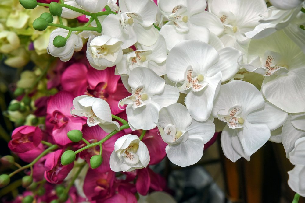 SHIMA HOME DECOR 22 Photos 7200 NW 56th St, Miami, FL Yelp