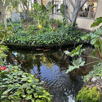 Orange Hill Restaurant & Events - Koi pond - Steakhouses Near Me - Orange, California