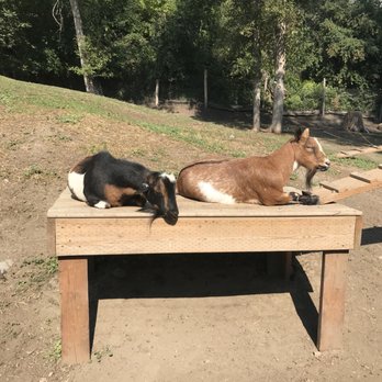 Kangaroo Creek Farm - Zoos Near Me - Kelowna, British Columbia Kangaroo Creek Farm - Zoos Near Me - Kelowna, British Columbia