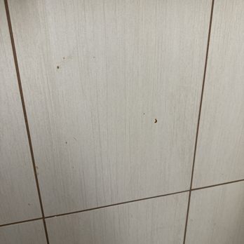 Eggs 'n Things - Waikiki Beach Eggspress - Feces on the wall - Breakfast & Brunch Near Me - Honolulu, Hawaii Eggs 'n Things - Waikiki Beach Eggspress - Feces on the wall - Breakfast & Brunch Near Me - Honolulu, Hawaii