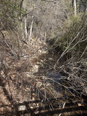 Solstice Canyon by null