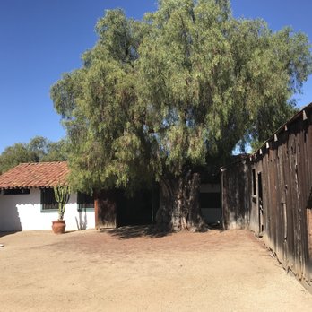 Rancho Guajome Adobe - An Argentine Pepper tree, the second oldest in California - Landmarks & Historical Buildings Near Me - Oceanside, California Rancho Guajome Adobe - An Argentine Pepper tree, the second oldest in California - Landmarks & Historical Buildings Near Me - Oceanside, California
