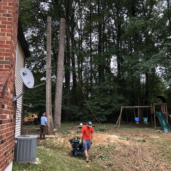 Local Boys Tree Service - Hauling away the debris.  These guys never stopped. - Tree Services Near Me